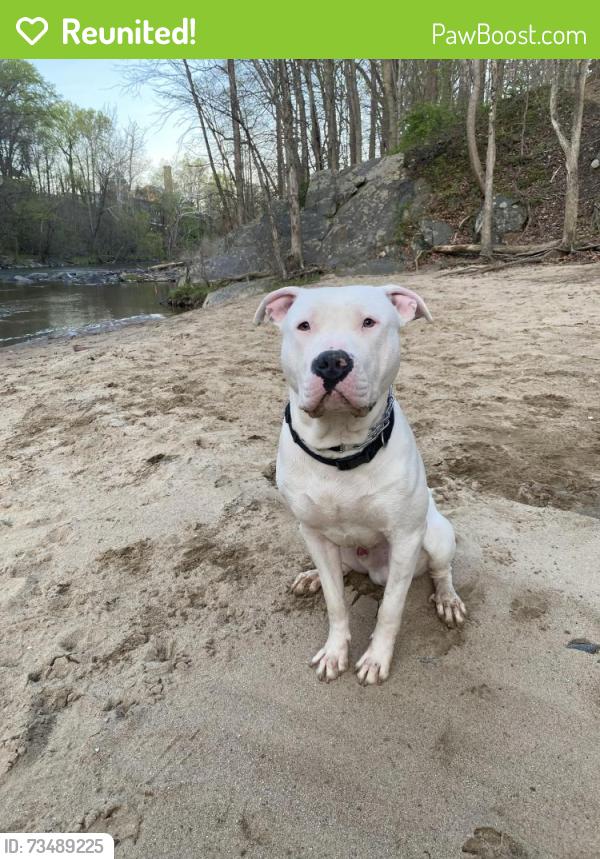Reunited Male Dog last seen Glendale Ave, Glen Burnie, MD 21061