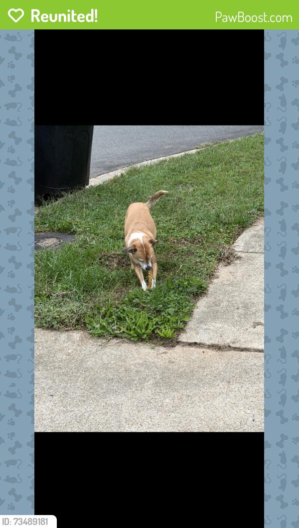 Reunited Male Dog last seen Lambsgate Lane off Lindendale Rd, Woodbridge, VA 22193