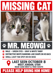 Reunited Female Cat last seen Near west 70 th south, West Jordan, UT 84084
