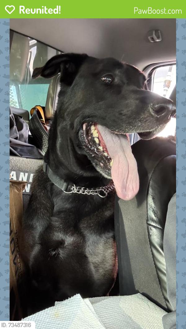 Reunited Unknown Dog last seen Port St Lucie, Port St. Lucie, FL 34986