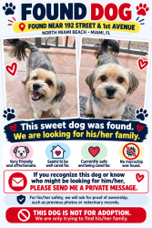 Found/Stray Female Dog last seen Near st, Miami Gardens, FL 33179