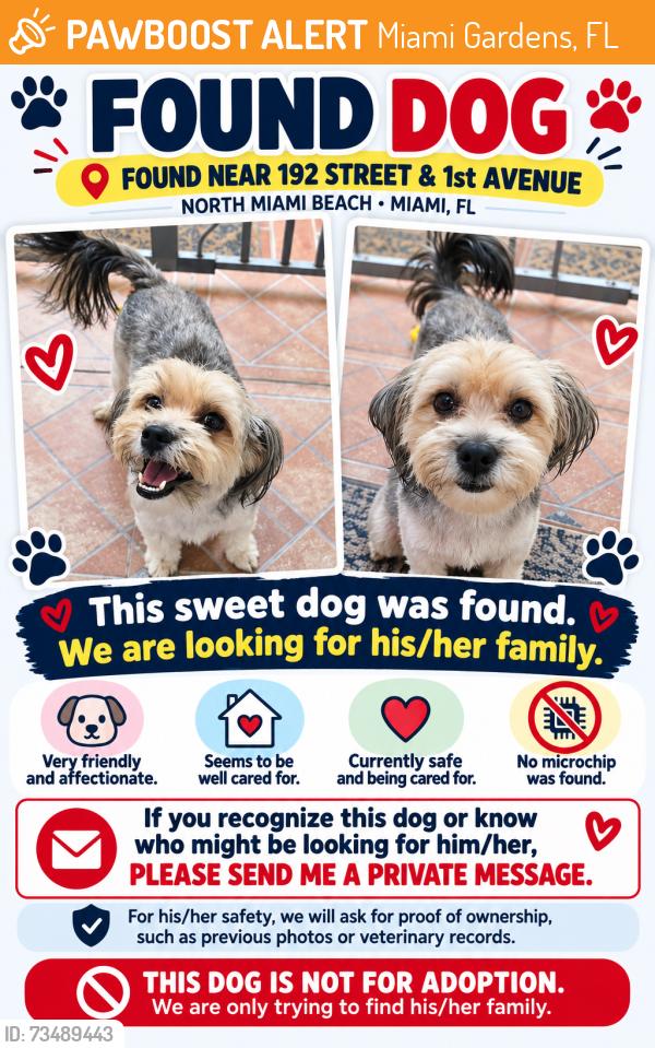 Found/Stray Female Dog last seen Near st, Miami Gardens, FL 33179