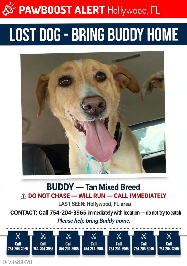 Lost Male Dog last seen Near 58th ave and Cody street, Hollywood, FL 33021