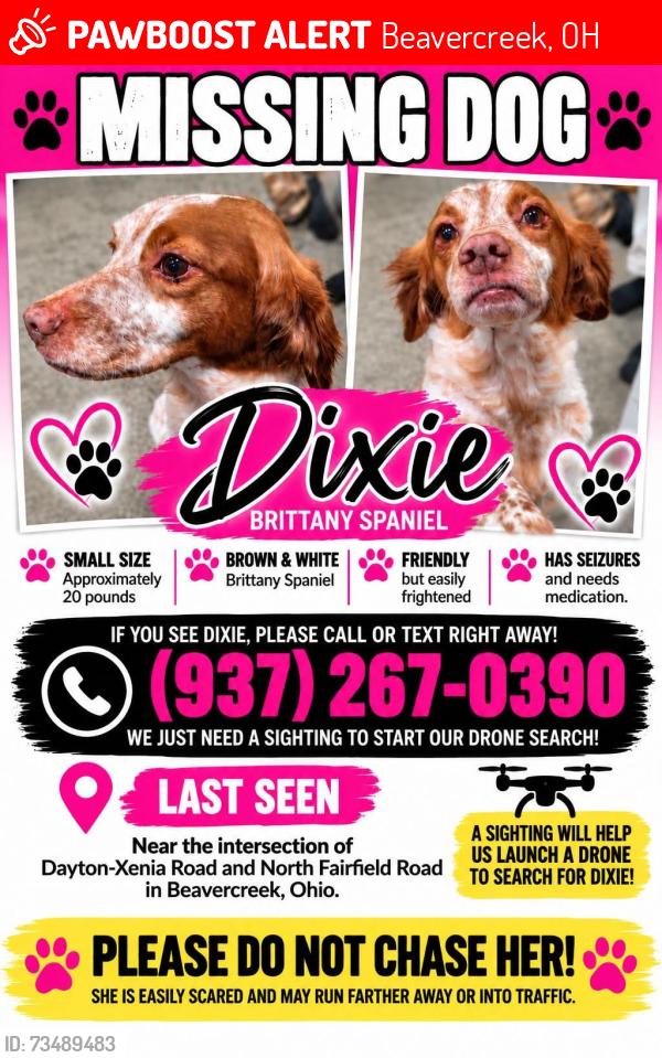 Lost Female Dog last seen Woods dr dayton xenia rd, Beavercreek, OH 45432