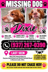 Lost Female Dog last seen Woods dr dayton xenia rd, Beavercreek, OH 45432