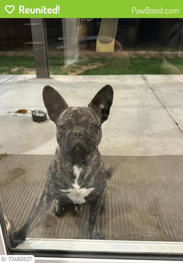 Reunited Male Dog last seen Hesperia Rd, Victorville, CA 92395