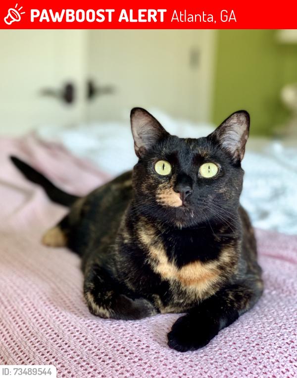 Lost Female Cat last seen Burdette Road & Long Island Dr, Atlanta, GA 30327