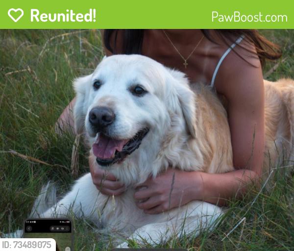 Reunited Male Dog last seen Lower Creek, Greenway, Lenoir, NC 28645