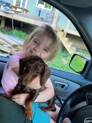 Lost Male Dog last seen Roan Mountain TN, Roan Mountain, TN 37687