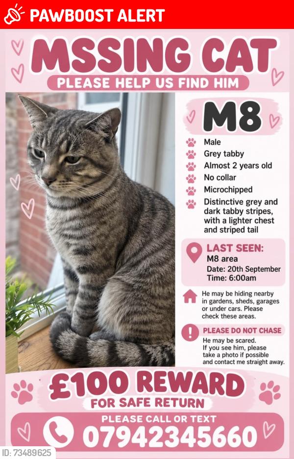 Lost Male Cat last seen Greenhill Road, Cheetham Hill, Greater Manchester, England M8