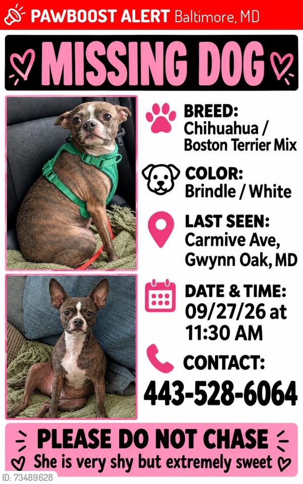 Lost Female Dog last seen Gwynn falls trail, Baltimore, MD 21207