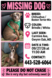 Lost Female Dog last seen Gwynn falls trail, Baltimore, MD 21207