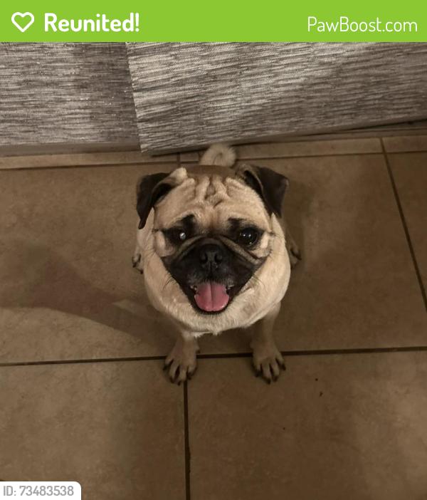 Reunited Male Dog last seen Yuma catholic, Yuma, AZ 85364