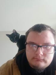 Lost Male Cat last seen Kensington road and 12th Street, Carrollton, OH 44615