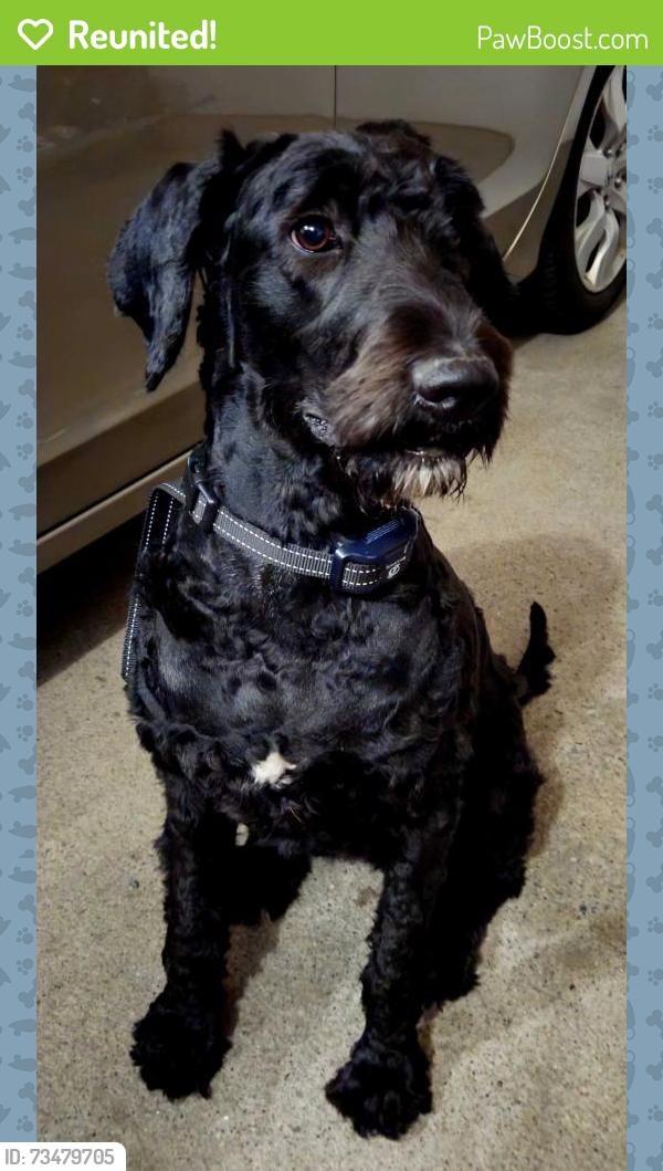 Reunited Female Dog last seen Optimize PT and Elite Sports, Spring Lake Park, MN 55432