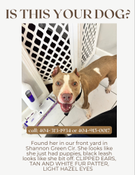 Found/Stray Female Dog last seen Nickajack, Mableton, GA 30126