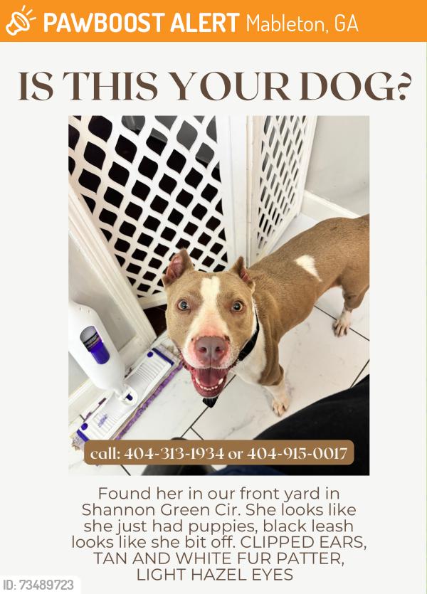 Found/Stray Female Dog last seen Nickajack, Mableton, GA 30126