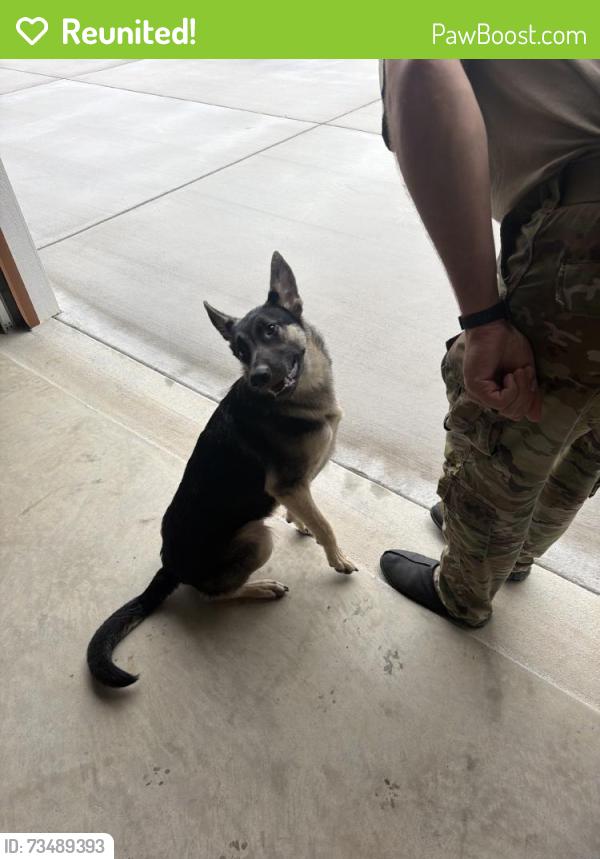 Reunited Male Dog last seen Butler Nursery RdFayetteville, NC 28306United States, Gray's Creek, NC 28306