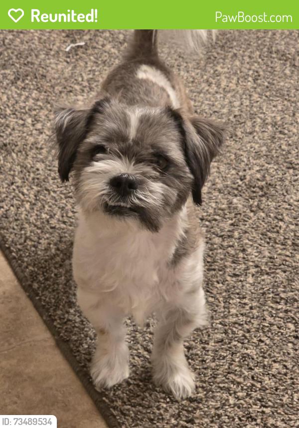Reunited Male Dog last seen Pond Avenue and buffalo rd, Johnston County, NC 27527