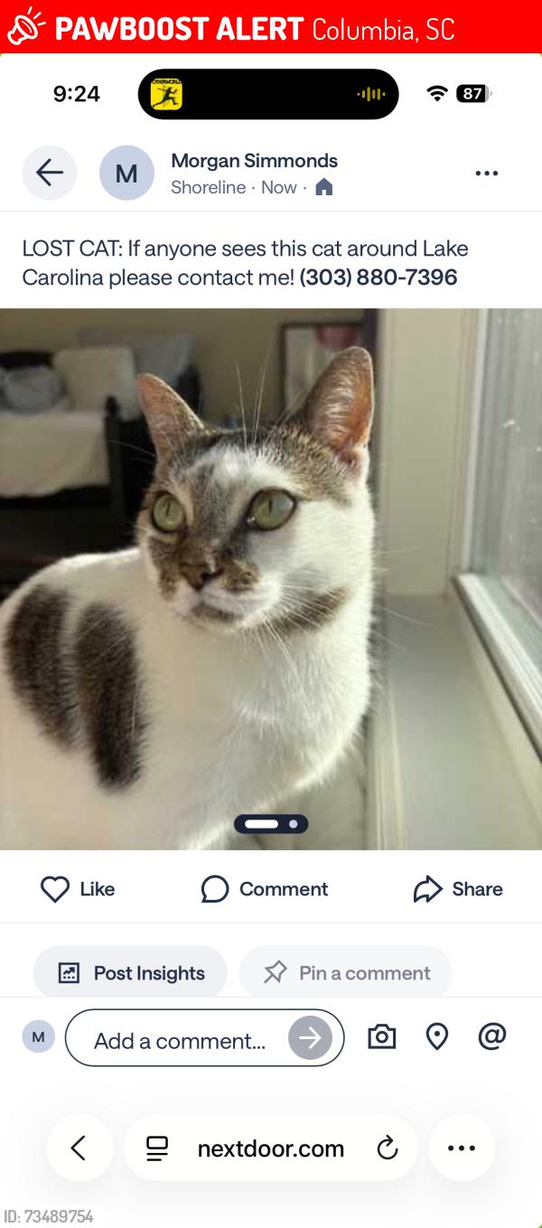 Lost Female Cat last seen Lake Carolina, Columbia, SC 29229