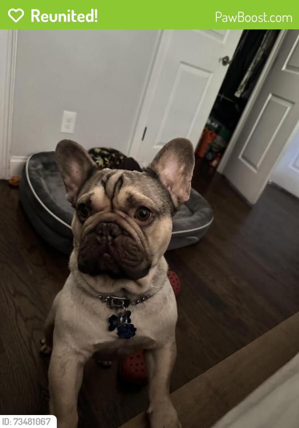 Reunited Male Dog last seen Bouldercrest rd, Atlanta, GA 30316