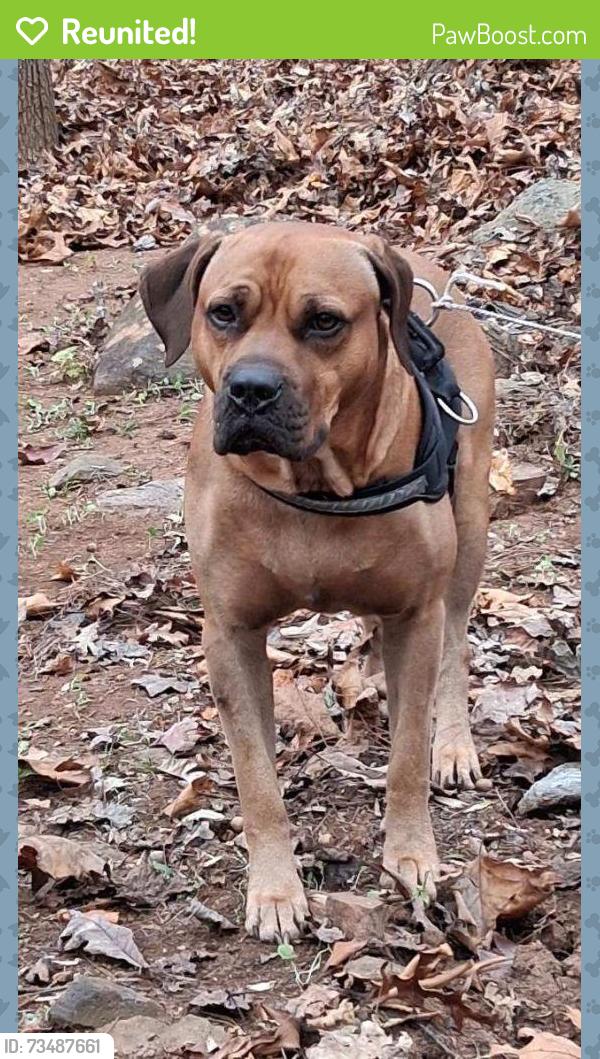 Reunited Male Dog last seen Conway Curry Ford by Walgreens, Orlando, FL 32812