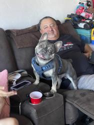 Lost Male Dog last seen G street and H street, Chula Vista, CA 91910