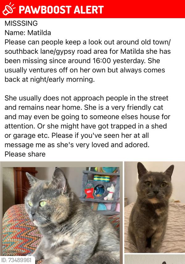 Lost Female Cat last seen Old town, North back lane, East Riding of Yorkshire, England YO16 4PR