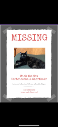 Lost Female Cat last seen Rosedale, Calgary, AB T2M 3K2