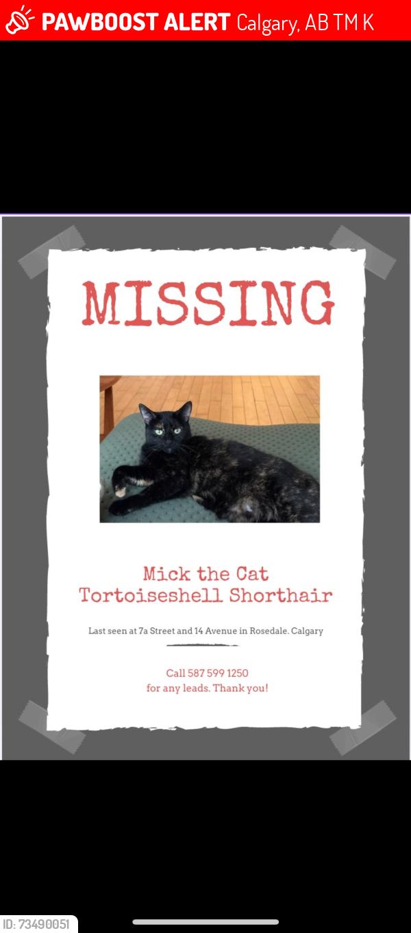 Lost Female Cat last seen Rosedale, Calgary, AB T2M 3K2