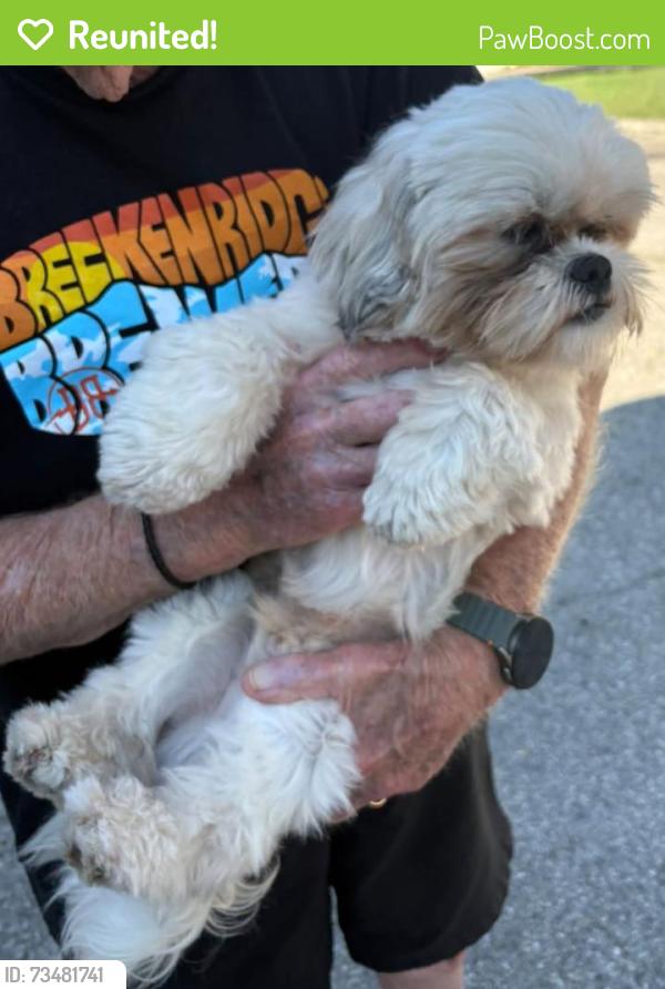 Reunited Male Dog last seen Sandalwood Dr, New Braunfels, TX 78130
