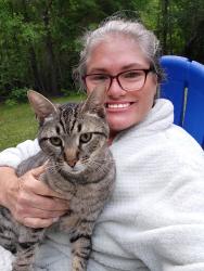 Lost Male Cat last seen Hammett Road and hwy 101, Greer, SC 29651