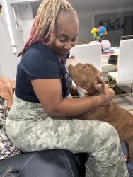 Reunited Female Dog last seen Curtis, Pickford, 7mile, Livernois, Wyoming, 6mile, Detroit, MI 48221
