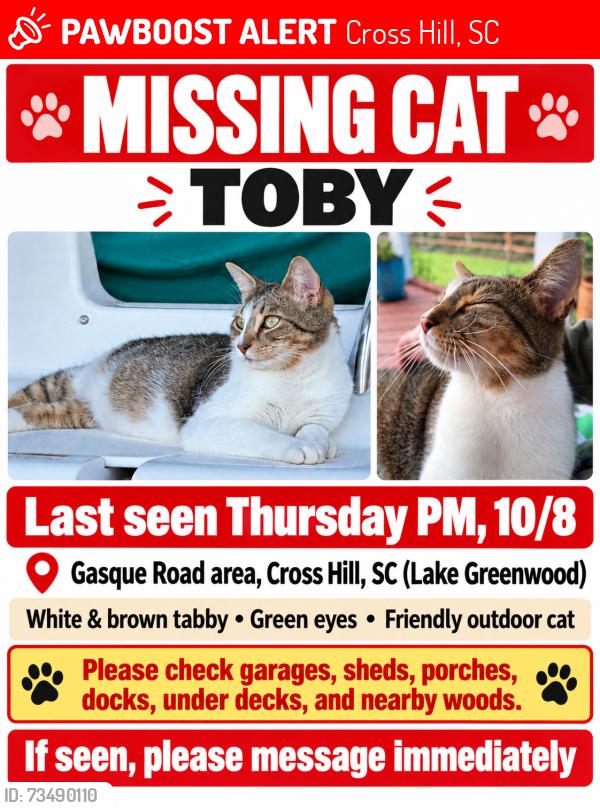Lost Male Cat last seen Gasque Road near County Line Road, Cross Hill, SC (Lake Greenwood), Cross Hill, SC 29332