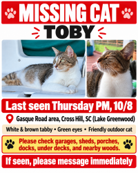 Lost Male Cat last seen Gasque Road near County Line Road, Cross Hill, SC (Lake Greenwood), Cross Hill, SC 29332
