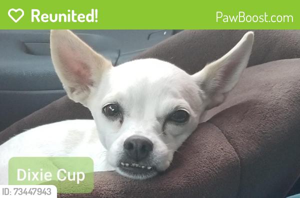 Reunited Female Dog last seen Montana st, Chula Vista, CA 91913