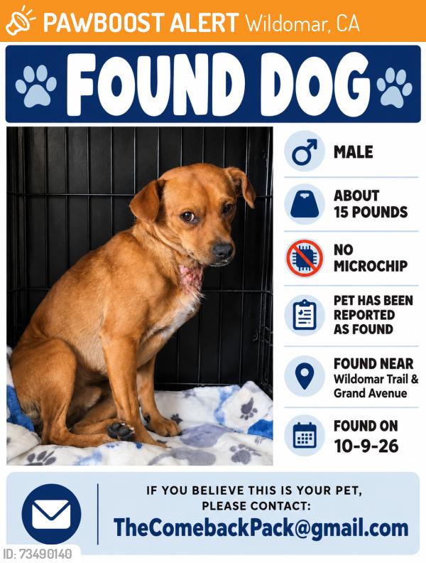 Found/Stray Male Dog last seen Wildomar Trail /Grand Av, Wildomar, CA 92595
