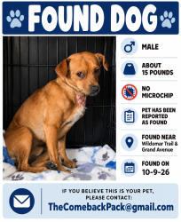 Found/Stray Male Dog last seen Wildomar Trail /Grand Av, Wildomar, CA 92595