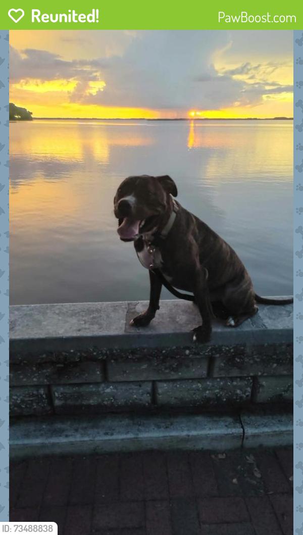 Reunited Male Dog last seen Fish camp and 44 sonoco, Grand Island, FL 32735
