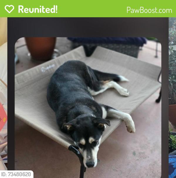 Reunited Male Dog last seen Murrieta Rd. Redoak, Menifee, CA 92584