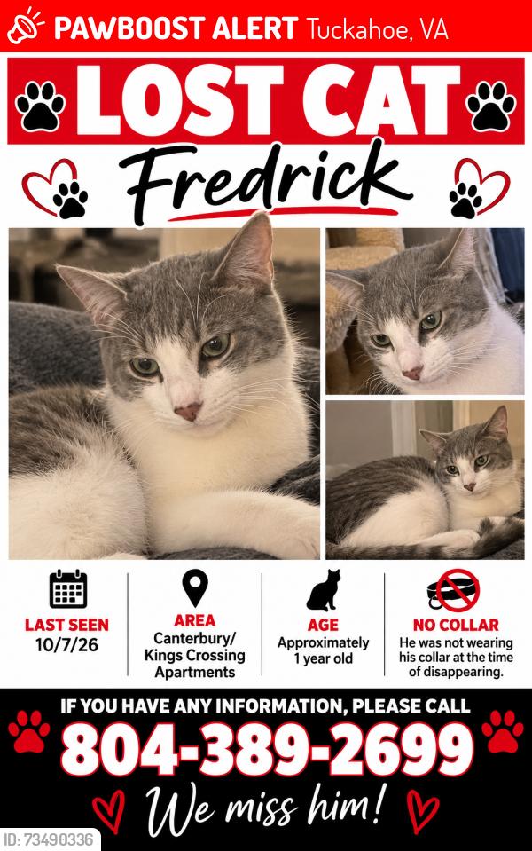 Lost Male Cat last seen Canterbury/Kings Crossing apmts, Tuckahoe, VA 23238