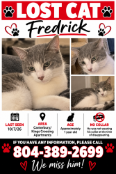 Lost Male Cat last seen Canterbury/Kings Crossing apmts, Tuckahoe, VA 23238