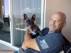 Reunited Female Dog last seen Vatapa Rd & Idalia, Rio Rancho, NM 87144