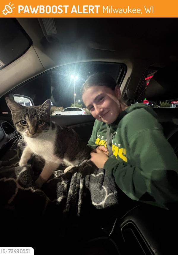 Found/Stray Female Cat last seen Near w pierce st, Milwaukee, WI 53214