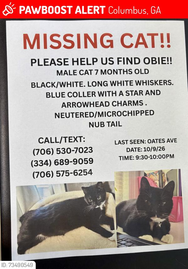 Lost Male Cat last seen Oates ave Columbus ga 31904, Columbus, GA 31904