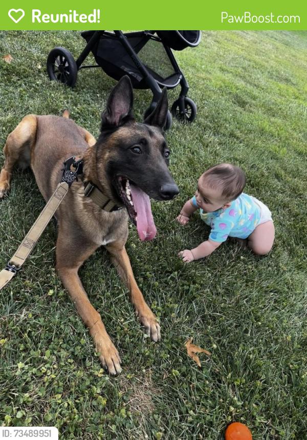 Reunited Male Dog last seen Spain and Tramway, Albuquerque, NM 87111