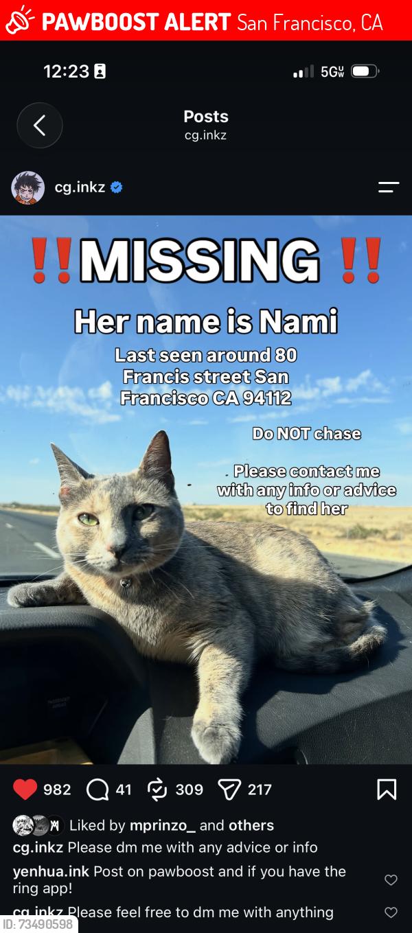 Lost Female Cat last seen Near south francis street, San Francisco, CA 94112