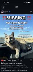 Lost Female Cat last seen Near south francis street, San Francisco, CA 94112