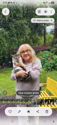 Reunited Female Cat last seen Near & 417 woods by Petsuites, Oviedo, FL 32765