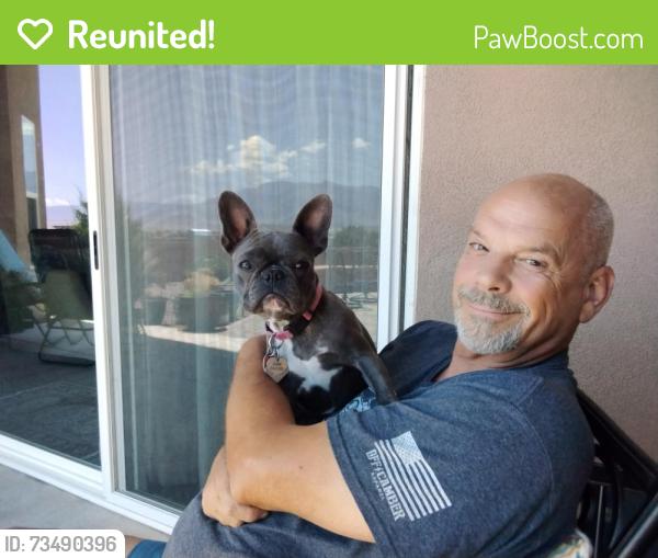 Reunited Female Dog last seen Vatapa Rd & Idalia, Rio Rancho, NM 87144